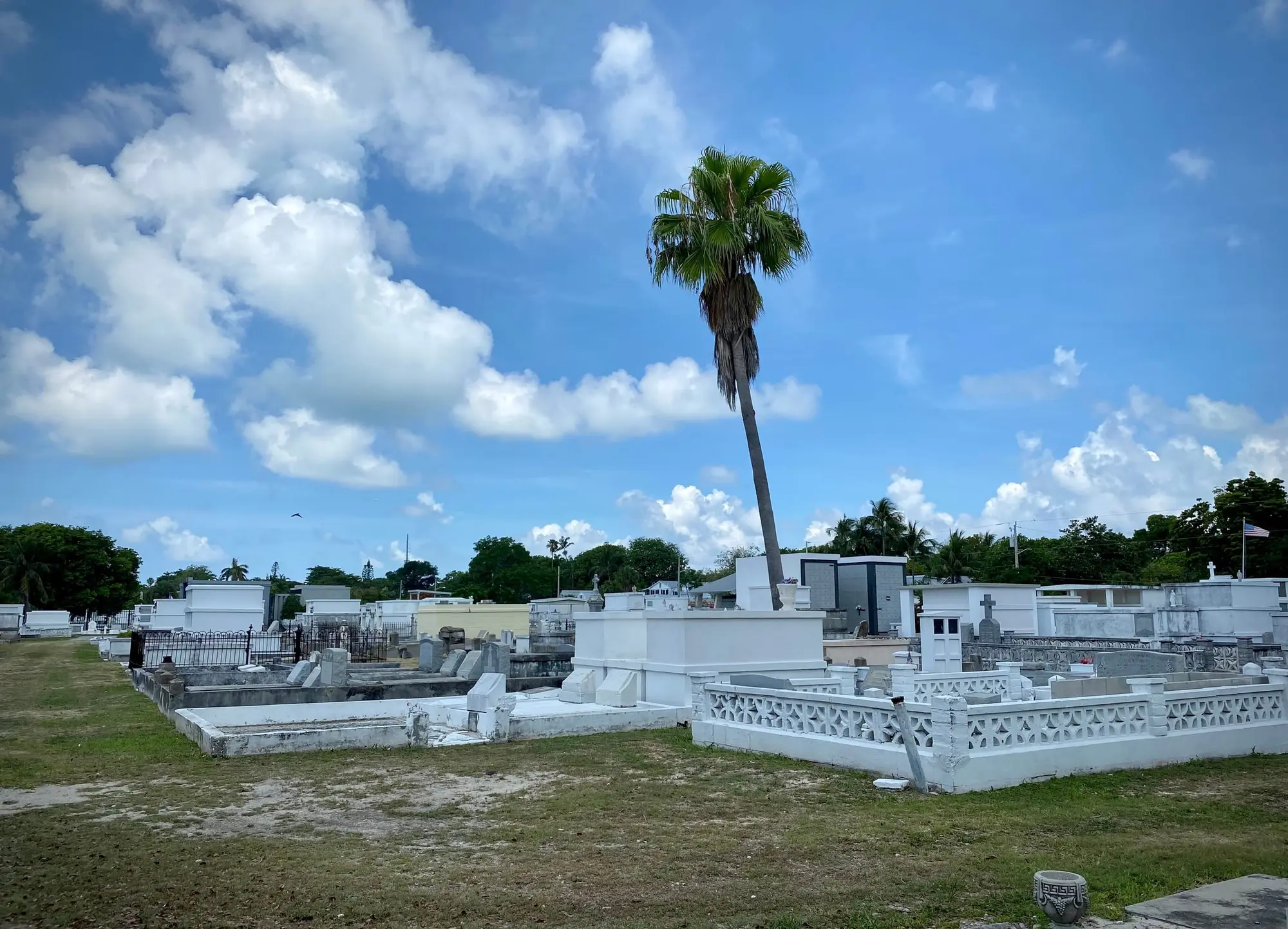 Above-ground tombs and a lone palm in the Key West City Cemetery