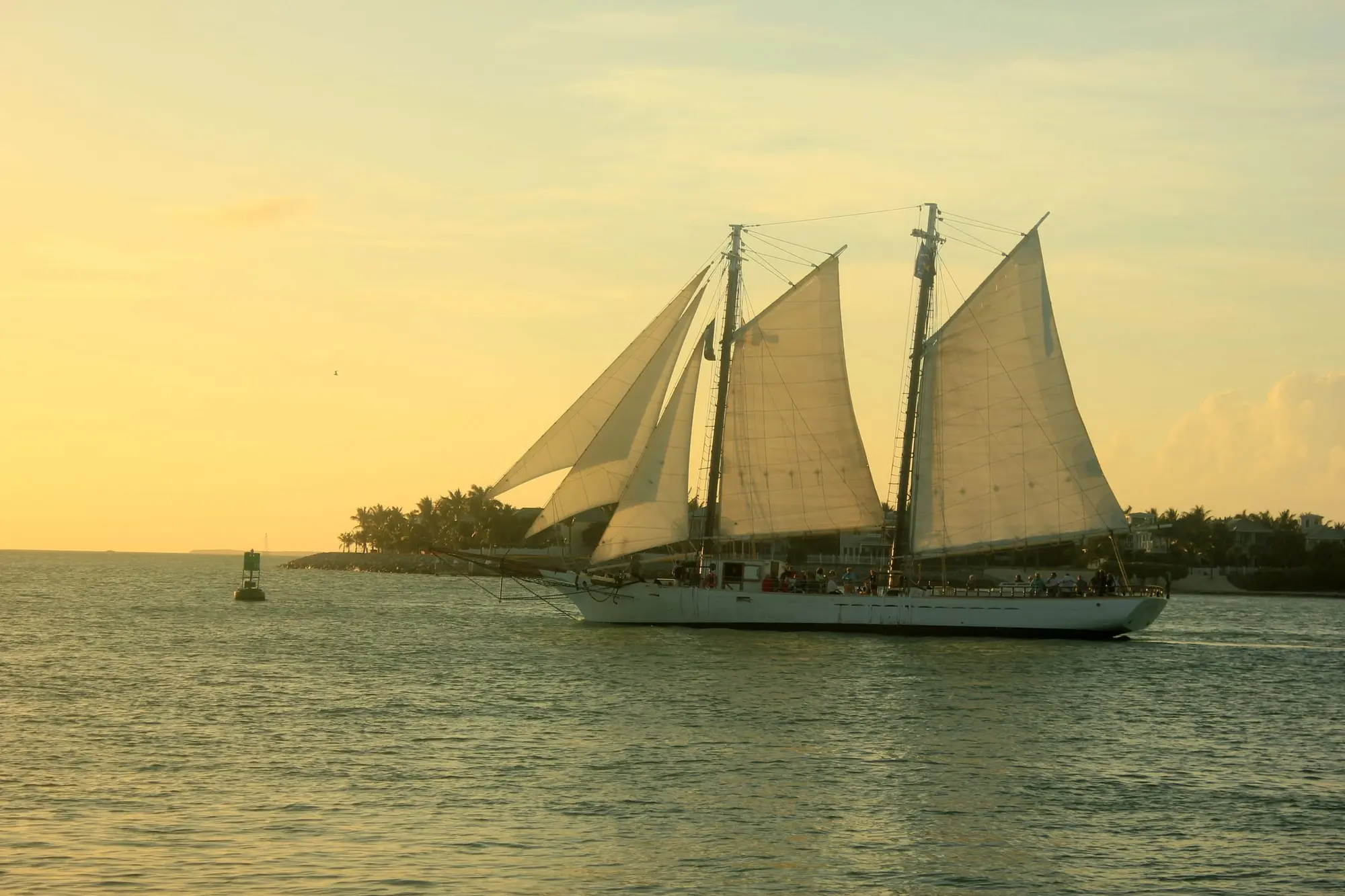 A two-masted schooner under full sail in the golden light before sunset off Key West, passengers along its rail and a low palm-lined shore behind